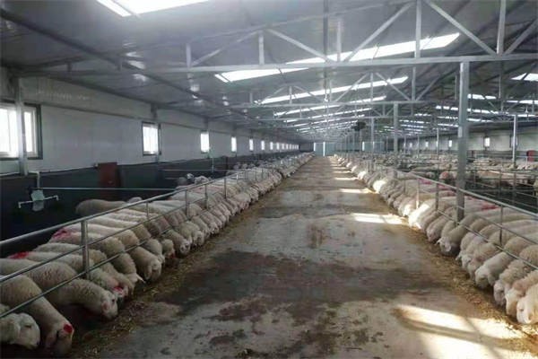 %title插圖%num %title插圖%num